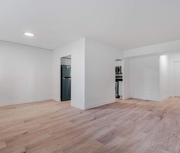 1 CH - 1 SDB - St-Laurent - $1,499 /mo - Photo 3