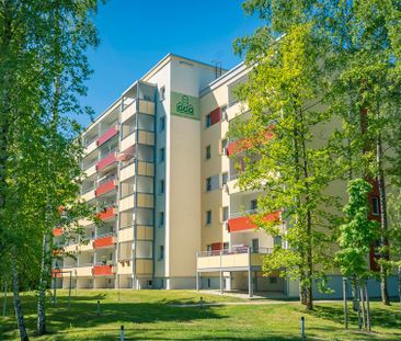Ebenerdig erreichbare 1-Raum-Wohnung mit Balkon - Photo 1