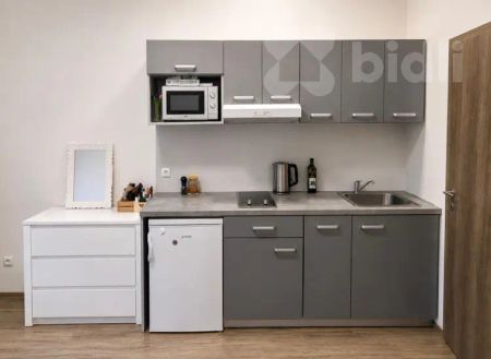 Pronájem útulné garsonky - ideální pro studentku či mladou ženu - Photo 4