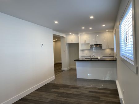 Lasalle 4 1/2 sous-sol rénové avec électroménagers - Photo 5