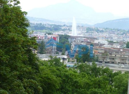 5 rooms furnished Résidence Matutina Parc Petit-Saconnex - Foto 4