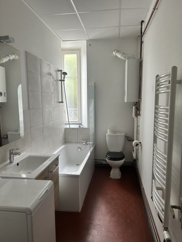 Location Appartement 2 pièces 50m² MULHOUSE 68100 - Photo 3