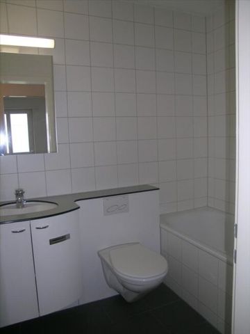 Grand appartement dans un endroit calme - Foto 3