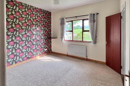 42a Bleary Road, Portadown, BT63 5NE - Photo 4