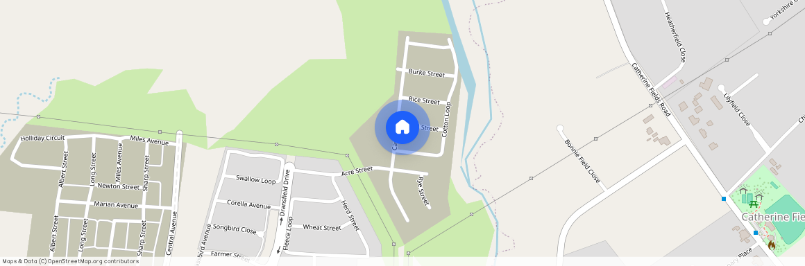 39 Canola Street Oran Park