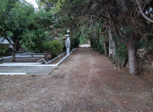 Διαμέρισμα για ενοικίαση - Πύργος, - Φωτογραφία 5