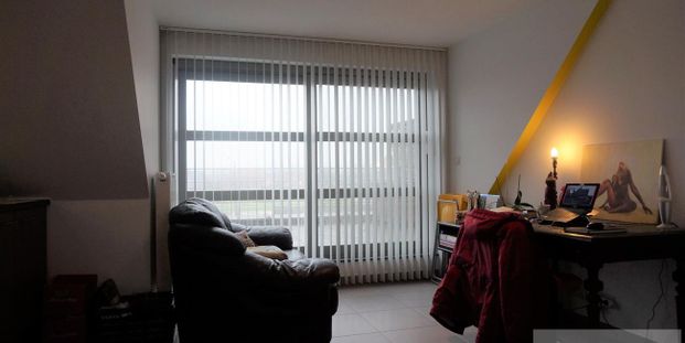 Studio met slaaphoek te huur in Herenthout voor € 625 met 1 slaapkamer - Photo 1