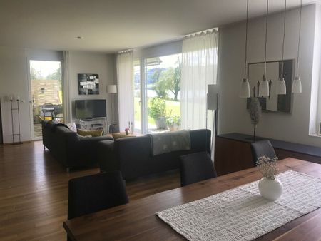 Traumaussicht auf den Baldeggersee - 3.5 Zimmerwohnung im EG - Foto 5