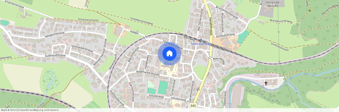 8632, Tann ZH, Baumgarten, 6