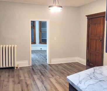 Gorgeous Newly Renovated Apartment ALL INCLUSIVE - Photo 5