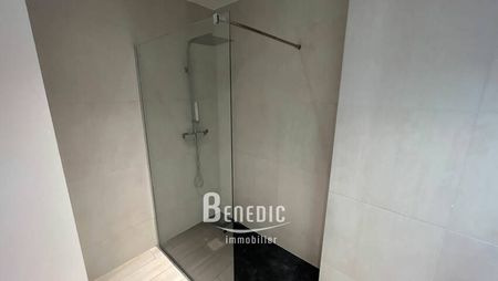 LOCATION THIONVILLE F2 TERRASSE PARKING - Photo 5