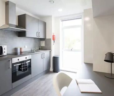 Classic Studio Lower - Photo 5