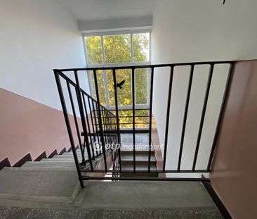 Lakótelep, Veszprém, 8500, Pápa - Fotó 2