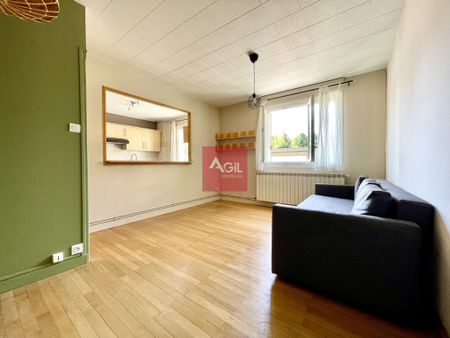 Location Appartement 2 pièces 46m² GRENOBLE 38100 - Photo 2
