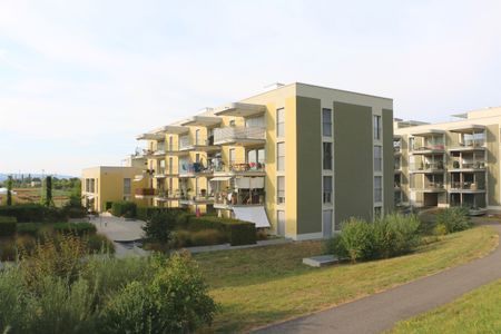 Mieten ohne Kaution - Moderne Singelwohnung in Sursee! - Foto 3