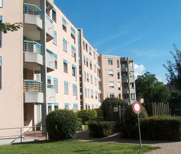3.5 Zimmer, 83 m², EG - Foto 6