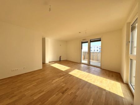 Gretls Garten – Miete mit Kaufoption – Erstbezug nahe Badeteich Hirschstetten - Photo 3