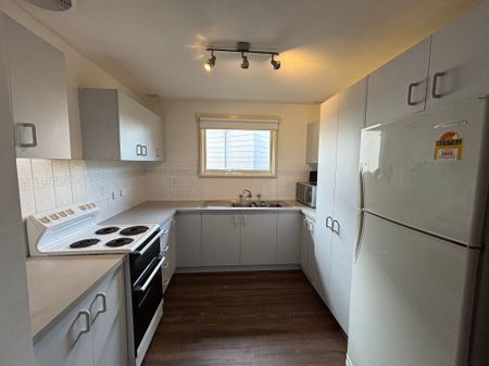 Elegant Elder - Photo 3