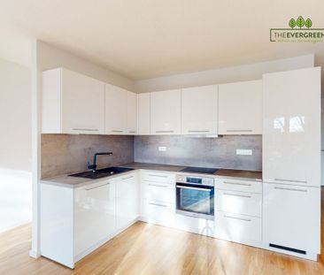 Moderne 3-Zimmer-Wohnung mit EBK und Duschbad! - Photo 1