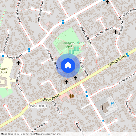 28 Winchester Street, Awapuni