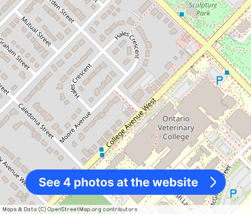 29 College Ave W, Guelph - Photo 1