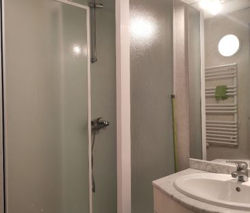 Location Appartement 1 pièce 24m² - Photo 3