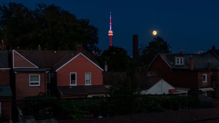 For Lease - 109 Ossington Avenue Unit# 217, Toronto, Ontario - Photo 4