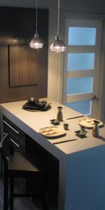 3,5 Beau frais peinturé et meublé de A a Z terrasse sur le toit - Photo 4