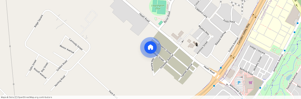 41 Duncan Street, NSW 2179, Leppington