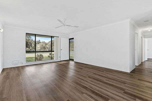 Fresh, Functional & Full of Potential - Available NOW - Photo 1