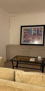 Very Large, Newly Renovated, Furnished Basement Apartment - Photo 4