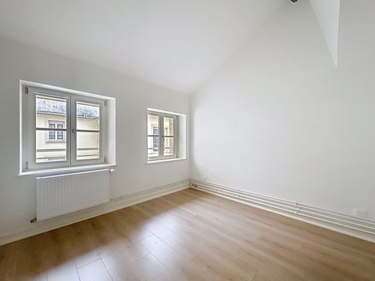 Appartement T3 Nancy à louer - Photo 1