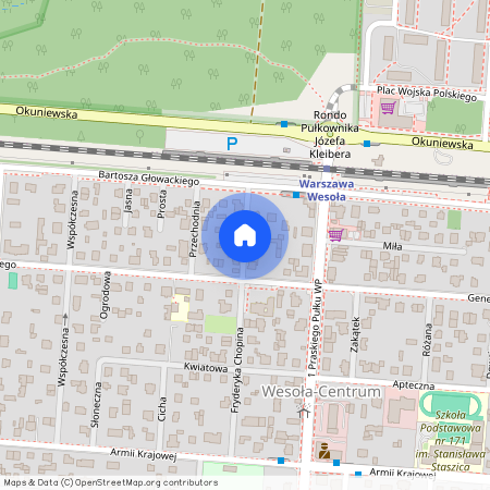 ul. Fryderyka Chopina, Wesoła-Centrum, Wesoła, Warszawa, mazowieckie