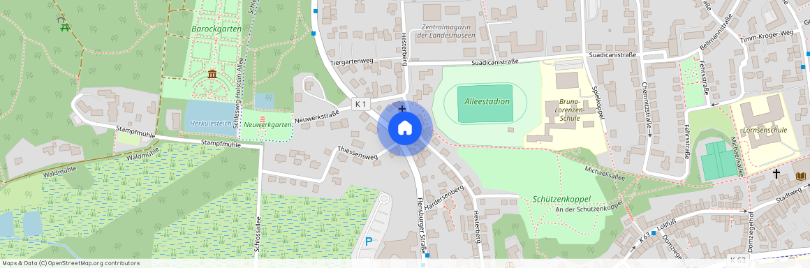 Flensburger Str. 24, 24837 Schleswig-Holstein - Schleswig