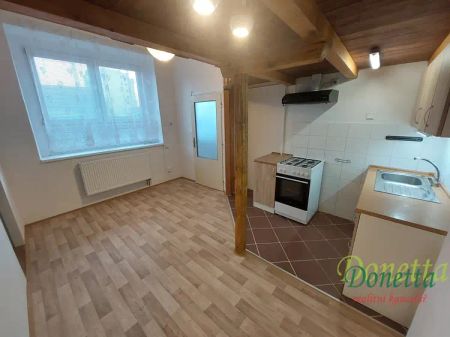 Pronájem pěkného bytu 1+1 v Hradci Králové - Fotografie 3