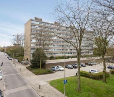 Zangvogelweg 0ong 3815 Amersfoort - Foto 3