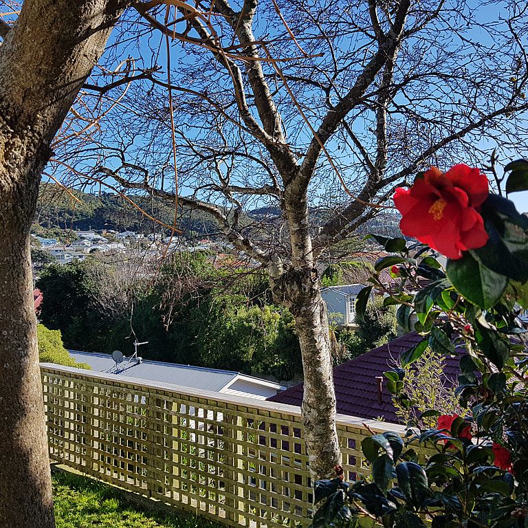 98 Melbourne Road, Island Bay Wellington 6023 - Photo 1