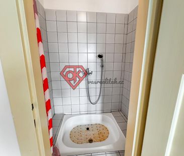 Pronájem bytu 1+1 40 m2 - Fotografie 6
