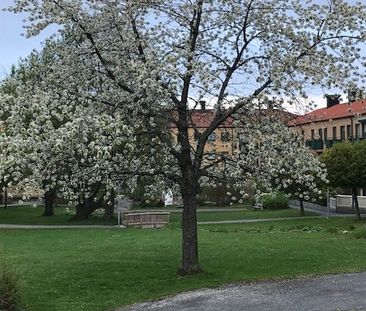 Stjärnbåtsgatan 5 - Foto 4