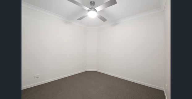 Convenience Overload with this 3 Bed 2 Bath so close to the CBD ! - Photo 1