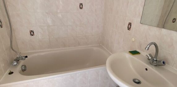 Location Appartement 1 pièce 24m² OLIVET 45160 - Photo 2