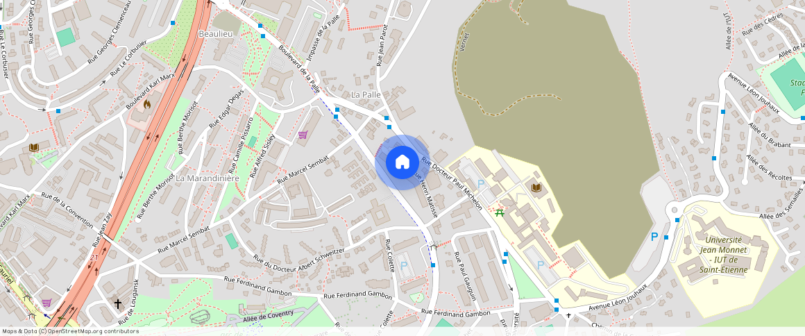 ** RUE HENRI MATISSE, 42100, St Etienne