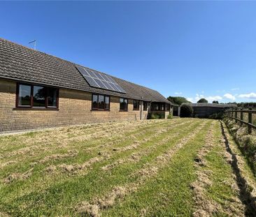 3 bedroom bungalow to rent - Photo 4