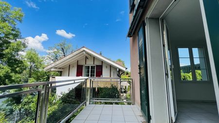 Direkt am Rhein - Grosse Maisonettewohnung mit Rheinblick und direktem Zugang zum Rheinufer - Photo 5