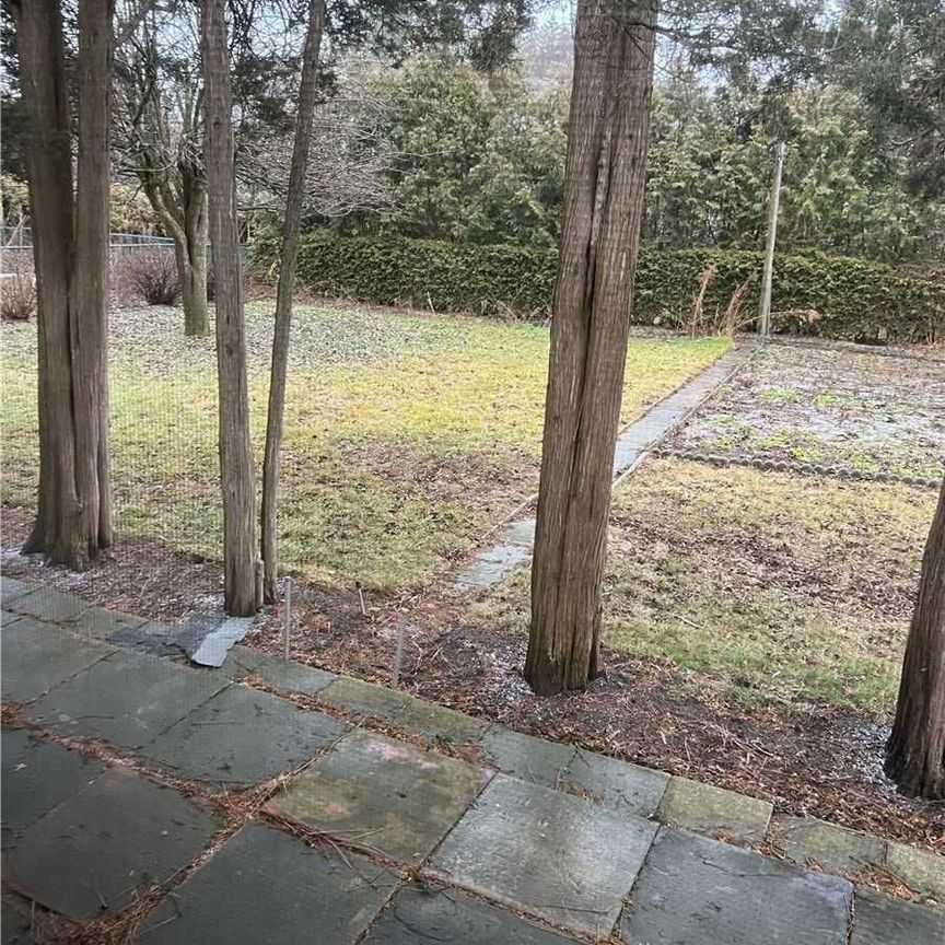 For Lease - 23 Wedgewood Drive, Toronto, Ontario - Photo 1