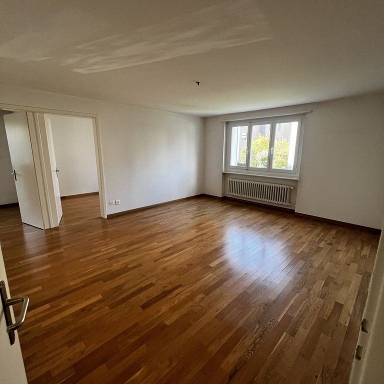 Helle 4-Zimmer-Wohnung im Erdgeschoss in Steinhausen - Photo 1