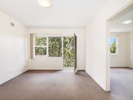 LARGE & LIGHT FILLED PRIVATE APARTMENT! - Photo 4