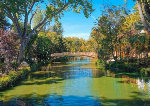 Apartamento T1 KITCHENET