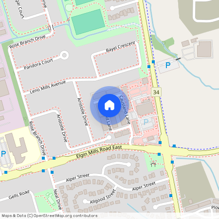 43 Causland Lane, Richmond Hill
