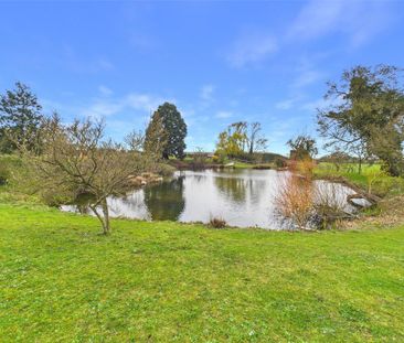 1 bedroom semi-detached house to rent - Photo 4